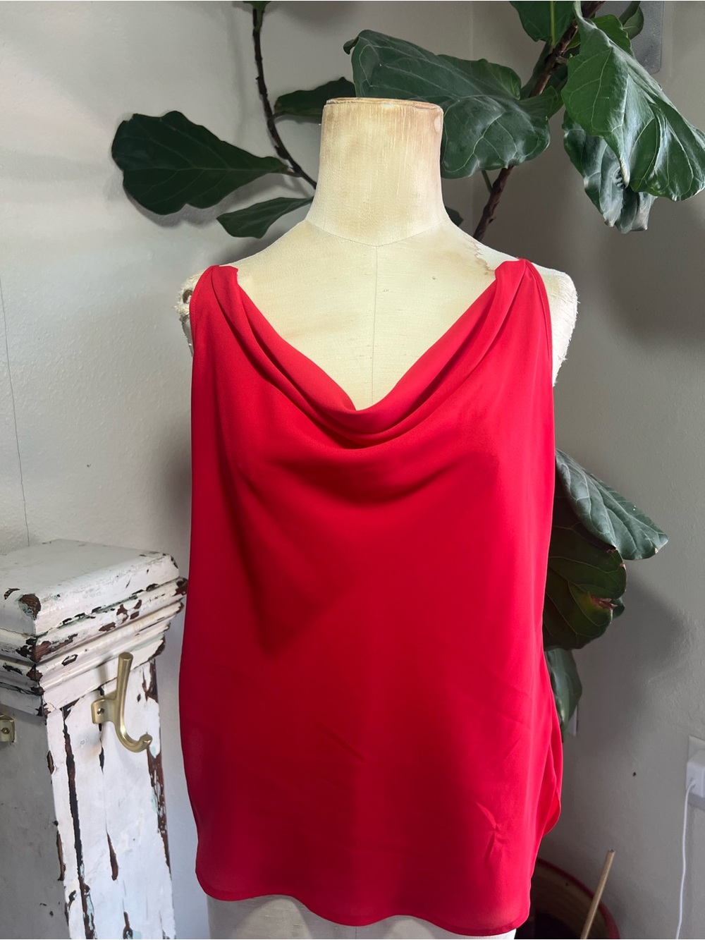 Express Red Sleeveless Cowl Neck Top